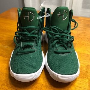 Nike Hyper Dunk 2017, Green Silver Size 9